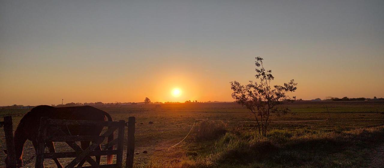 Cabana Rural El Encuentro San Antonio de Areco Rum bild