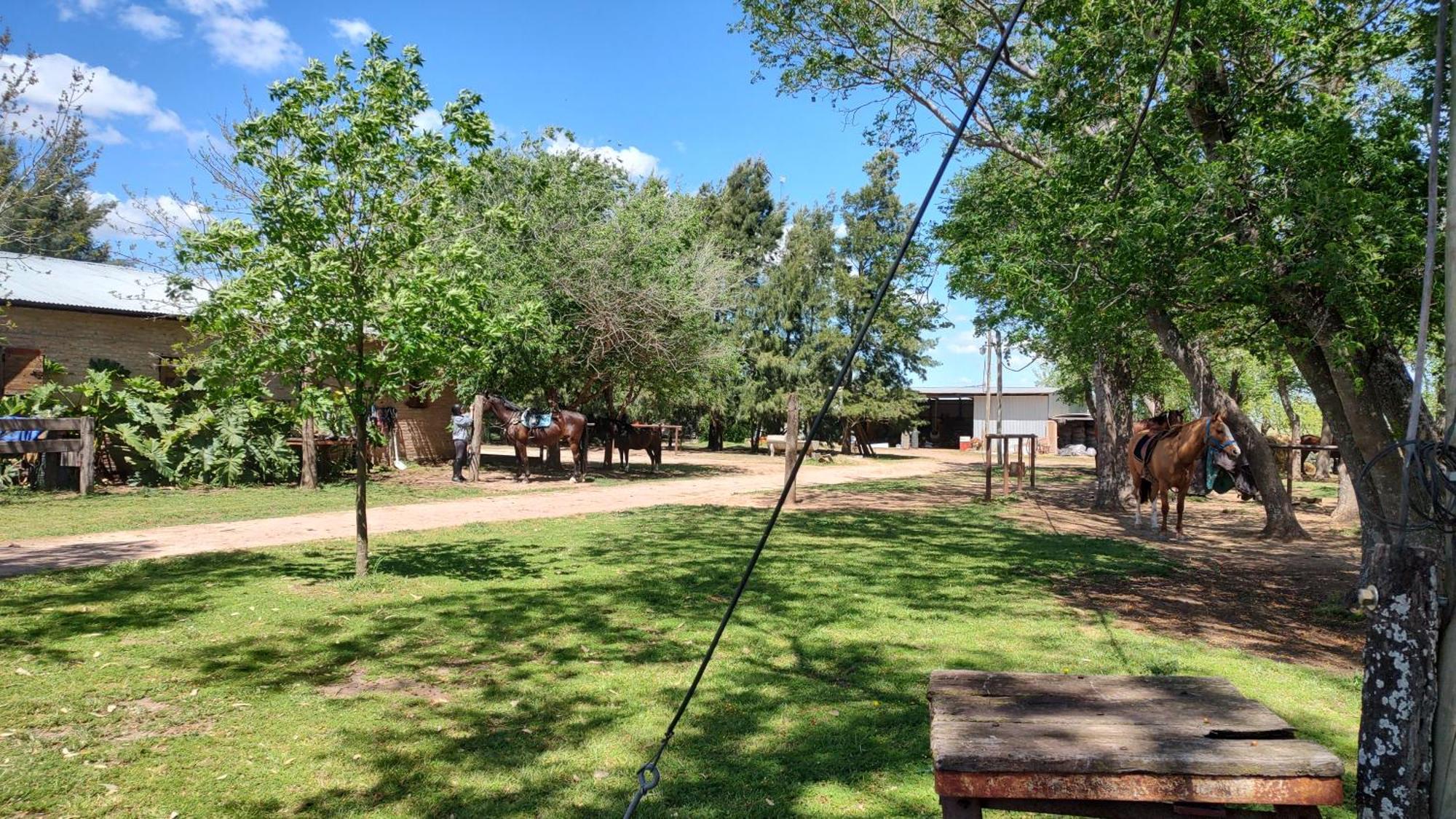 Cabana Rural El Encuentro San Antonio de Areco Rum bild