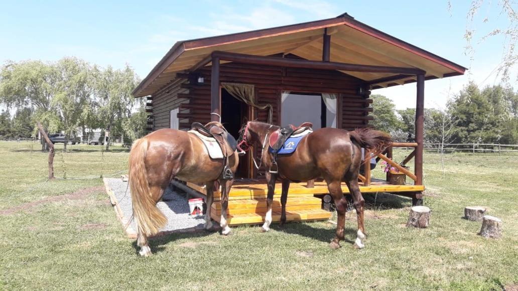 Cabana Rural El Encuentro San Antonio de Areco Exteriör bild